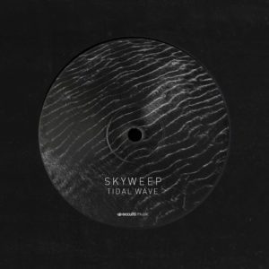 Skyweep — Tidal Wave / Wild World